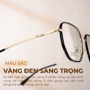 Màu sắc vàng đen sang trọng