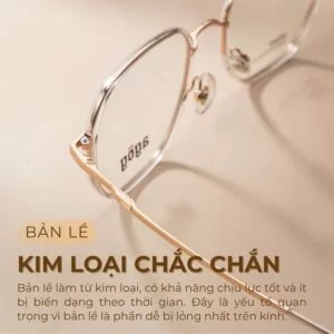 Agog Nữ - Gọng kính Nhựa, Kim loại - Mã 2016ADKK-C2 (3) Bản lề kim loại chắc chắn