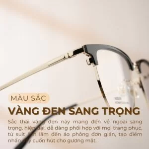 Màu vàng đen sang trọng