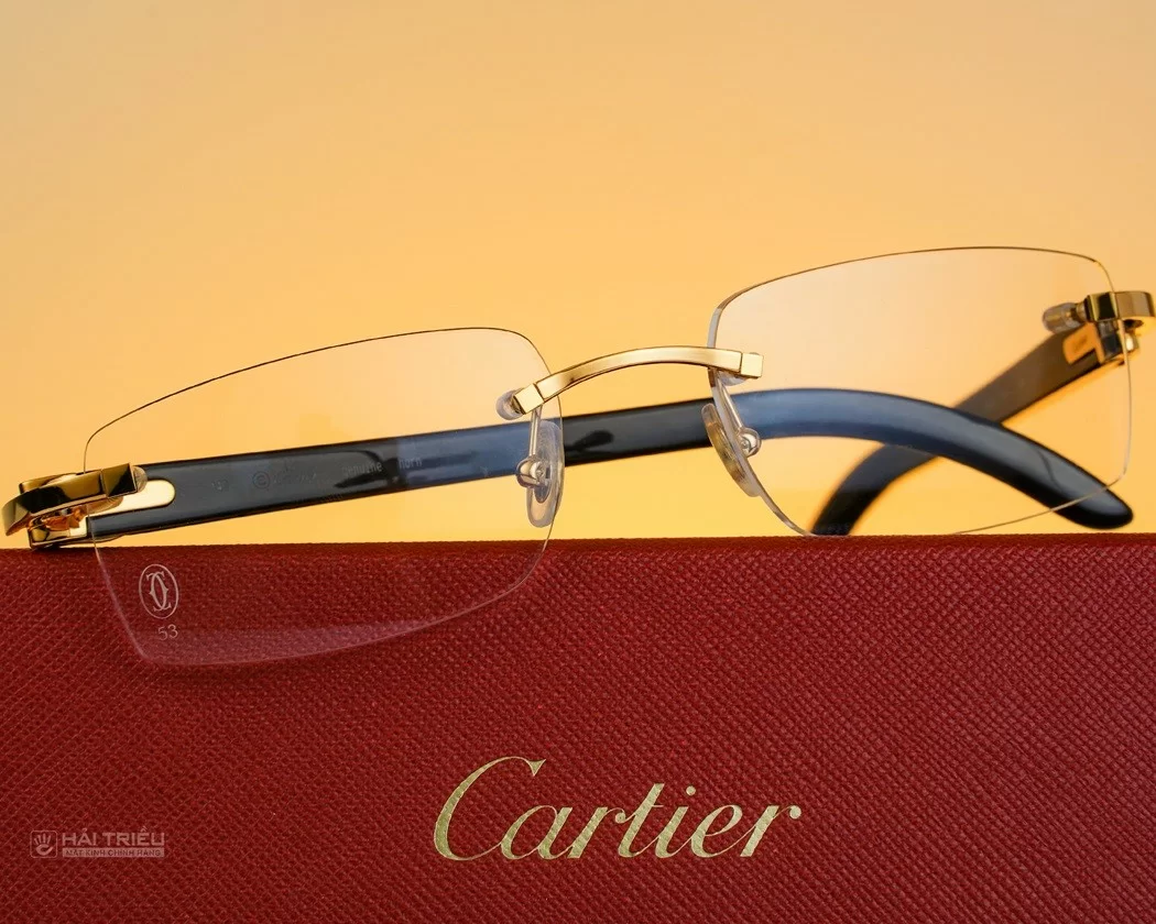 Gọng kính mạ vàng Cartier - mã EYE00079_CT0049O_001