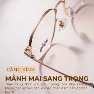 Agog Unisex - Gọng kính Titanium - Mã 1616TiSDKK-C2 (3) Mắt kính Agog 1616TISDKK-C2 chính hãng - Ảnh 3