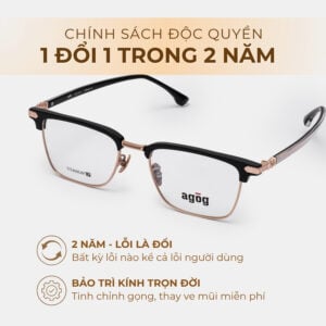 Agog Nam - Gọng kính Nhựa, Kim loại - Mã CH5702-C2 (5) Mắt kính Agog CH5702-C2 chính hãng - Ảnh 5