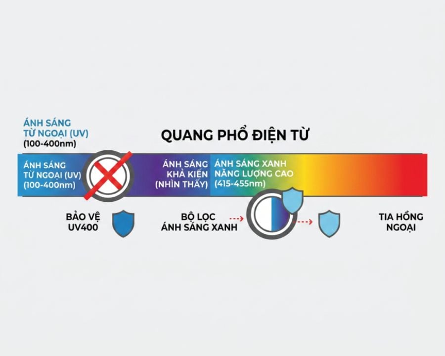 Quang phổ bức xạ từ điện từ hiển thị vùng ánh sáng tử ngoại, ánh sáng xanh và hồng ngoại