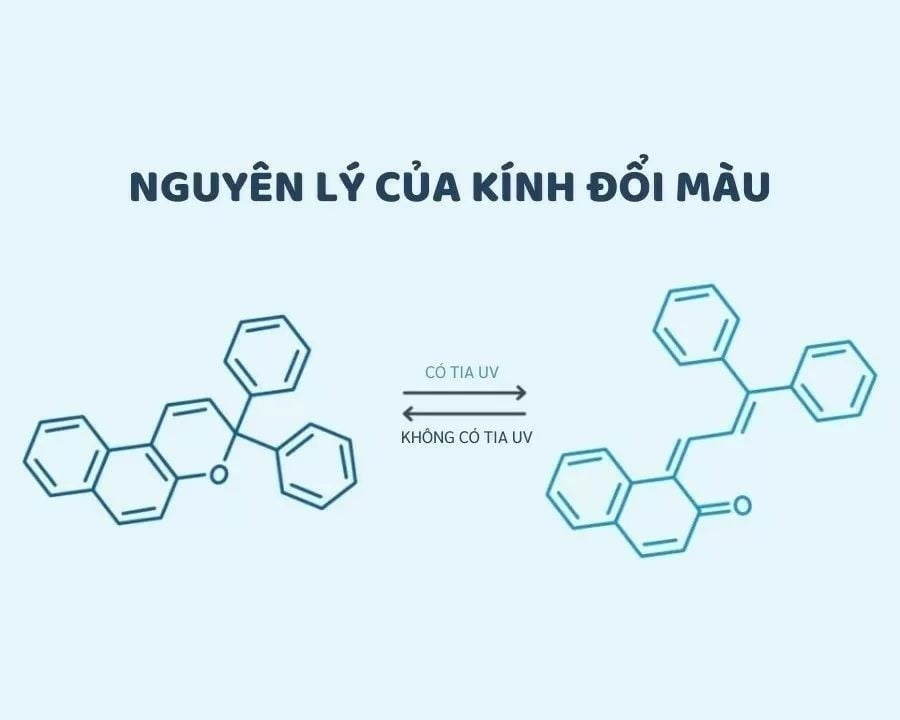 Photochromic là gì? Lịch sử, nguyên lý, ưu và nhược điểm (3) Kính đổi màu sẽ sẫm màu khi có tia UV và trong lại khi không có tia UV