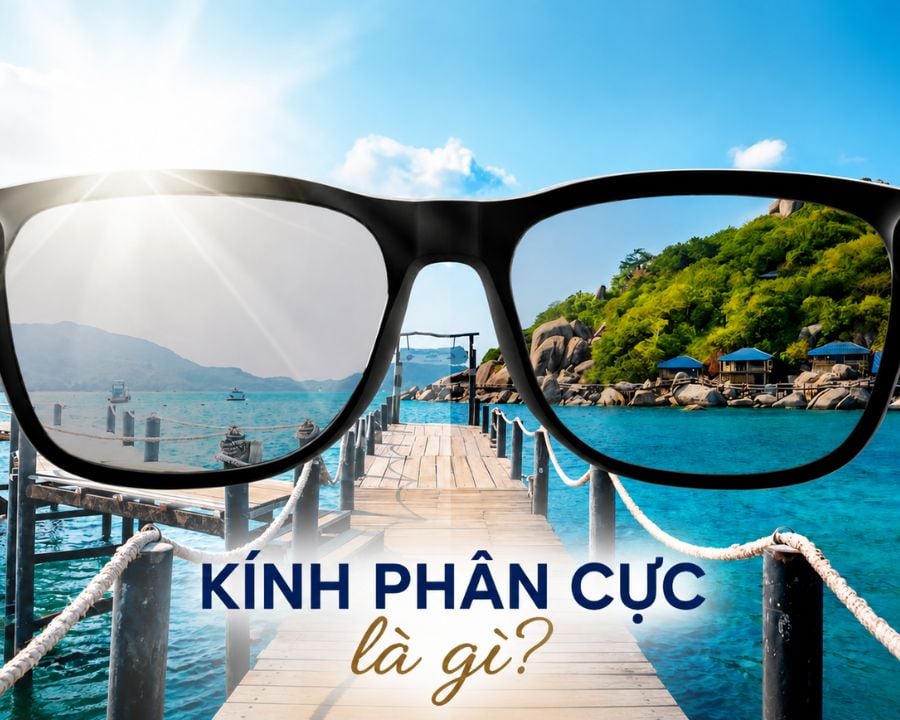 Kính phân cực là gì? Tác dụng, cách nhận biết và lưu ý khi chọn