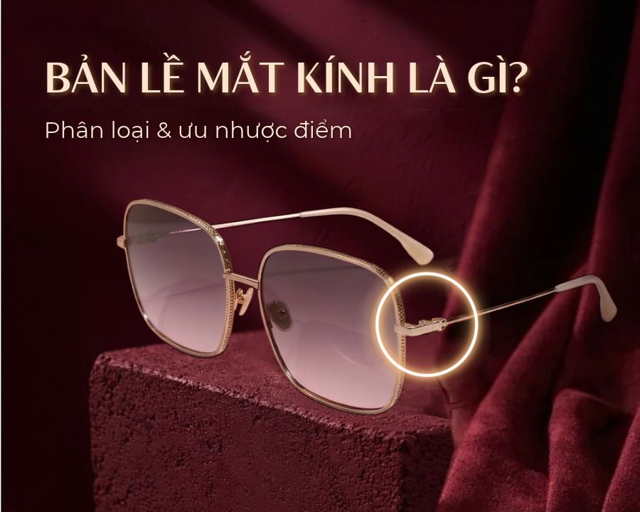 Khái niệm, đặc điểm các loại và ưu nhược điểm của bản lề mắt kính