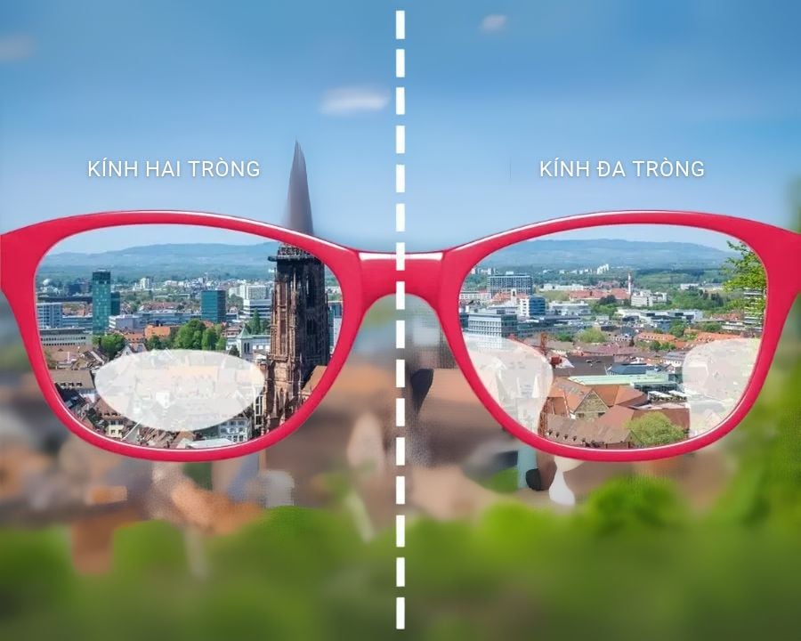 Kính 2 tròng và đa tròng: Khác nhau gì, nên chọn loại nào? (2) Kính 2 tròng và đa tròng khác nhau ở số khoảng nhìn hỗ trợ và cách chuyển giữa các khoảng nhìn