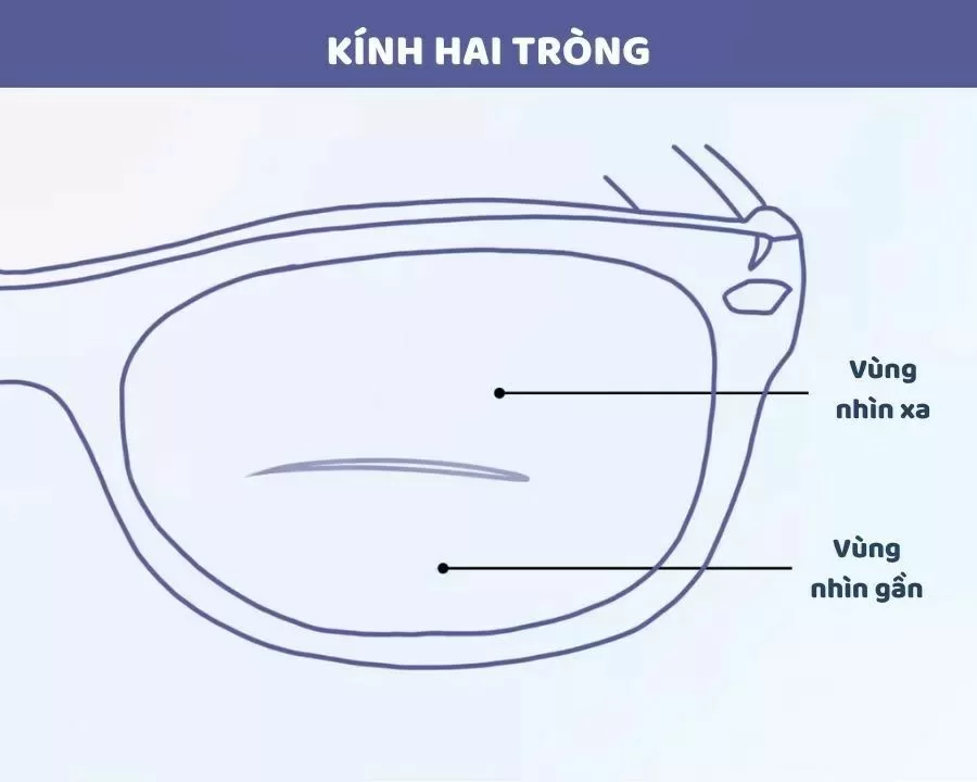 Kính lão hai tròng có hai vùng khác nhau: phần dưới kính hỗ trợ nhìn gần, còn phần trên hỗ trợ nhìn xa